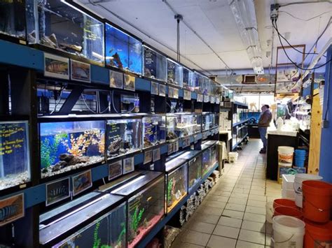 Fish Hut of New Jersey – Freshwater.